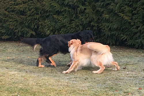 Cyr & Jelva
